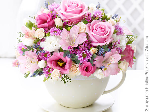 поздравляю