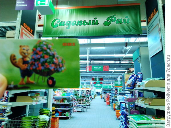 Садовый рай