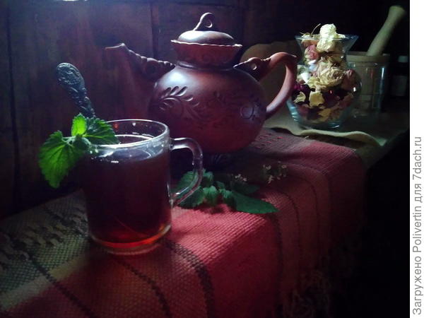 Полезный фиточай