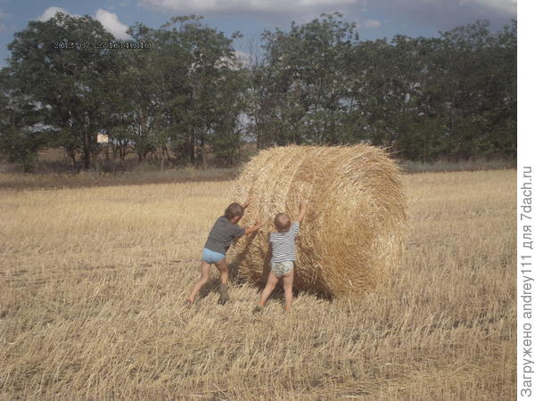 Гимнастический снаряд &quot;Покатушка&quot;
