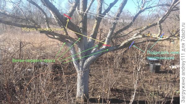 Резать или не резать - вот в чем вопрос!