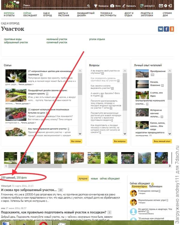Затем немного спускаетесь вниз по странице и выбираете тему, которая вам интересна.