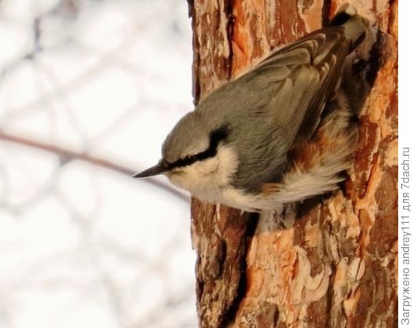 "Всем стоять, бояться, а то я упаду!"