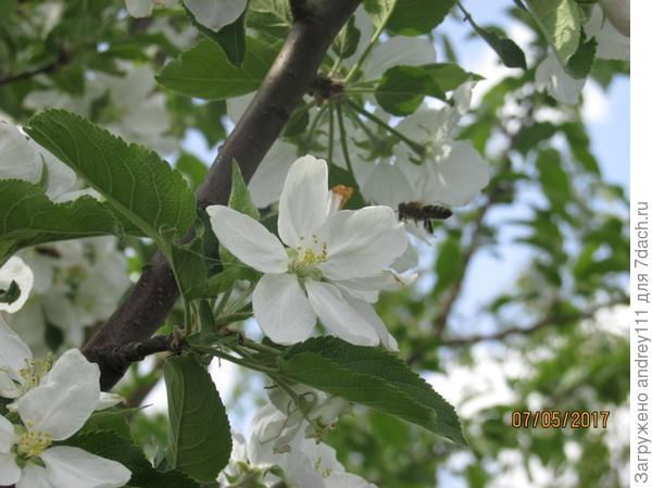 Посадку давай!!!