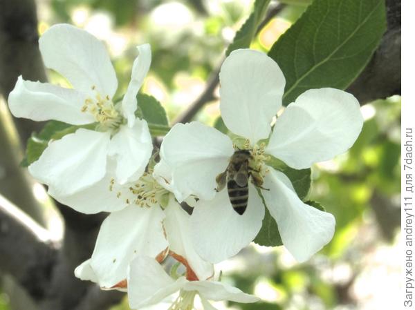 Заправка в полете.