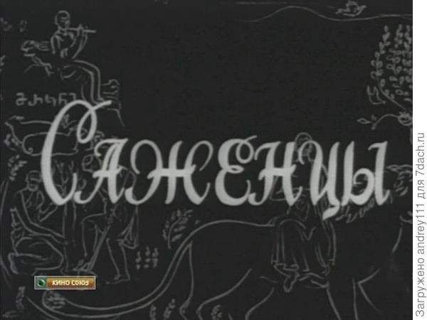 Режиссер Резо Чхеидзе.   Грузия фильм.