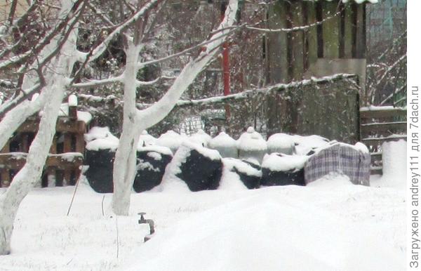 Вот они закрома. В бутылях - вода, в черных мешках- листва