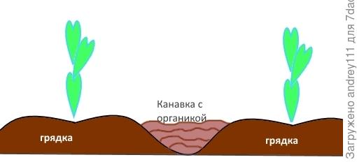 Как из глины сделать плодородную землю на участке. Смотреть фото Как из глины сделать плодородную землю на участке. Смотреть картинку Как из глины сделать плодородную землю на участке. Картинка про Как из глины сделать плодородную землю на участке. Фото Как из глины сделать плодородную землю на участке