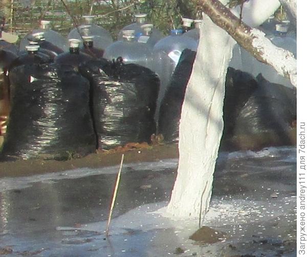 Вот эта страдалица сейчас. Дырка в ней еще не скоро зарастет.