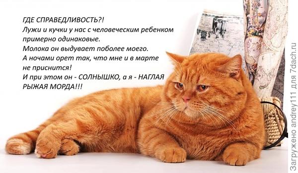 Нет правды в жизни!