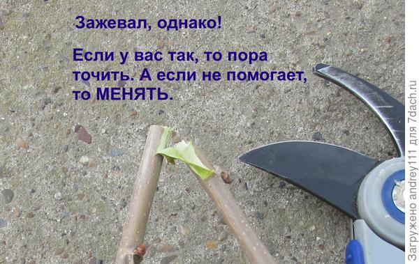 Ой !