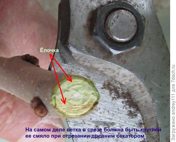 Старичок отправится опять в музейный фонд.
