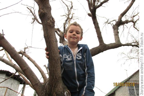 Вот, кстати, один из верхолазов тренируется. Помогал мне снимать репортаж про обрезку.