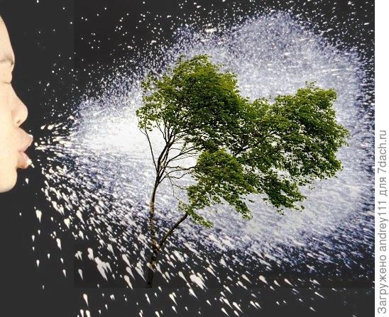 Тфу на вас еще раз!