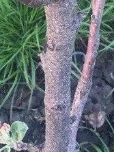 И выложите его в максимальном разрешении. Посмотрим вместе.