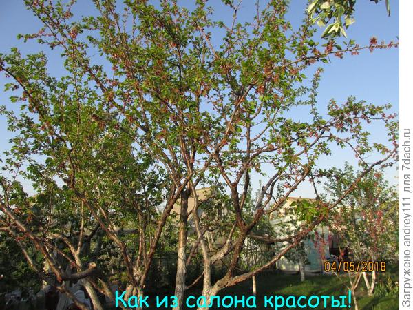 Можно снова под венец.
