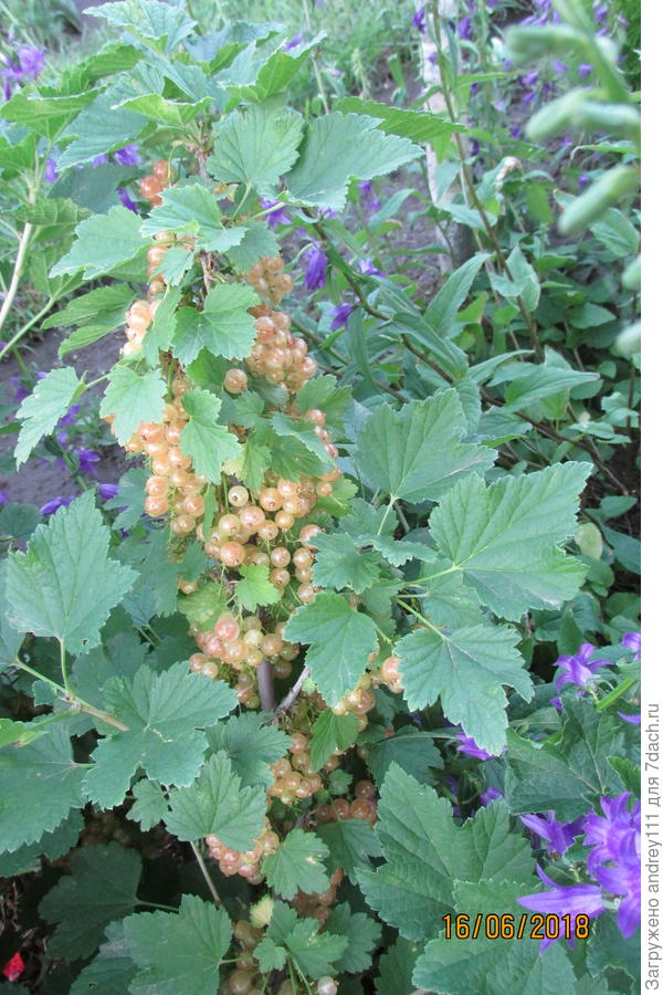 Вот уже почти...