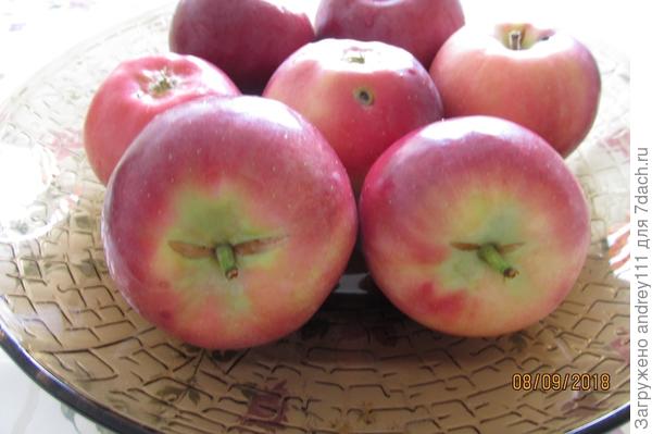 Первая линия обороны.