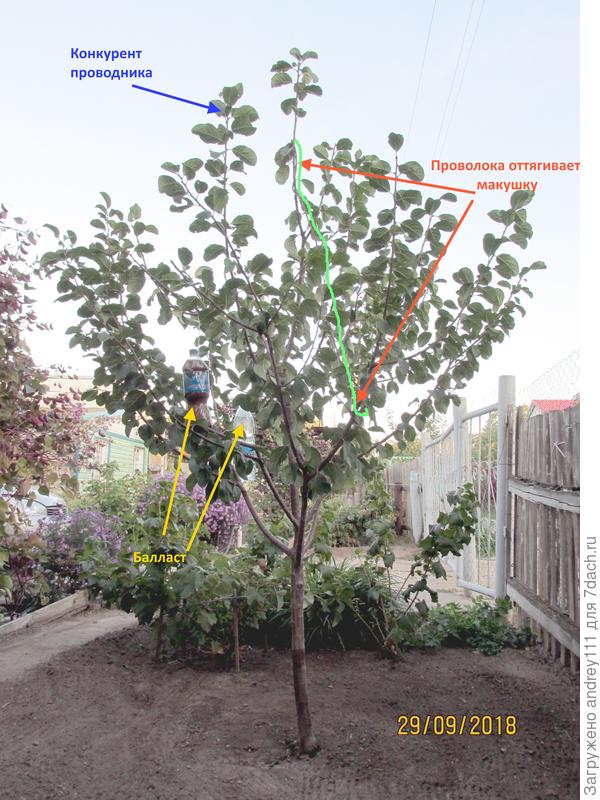 В общем деревце выглядит уже вполне прилично.