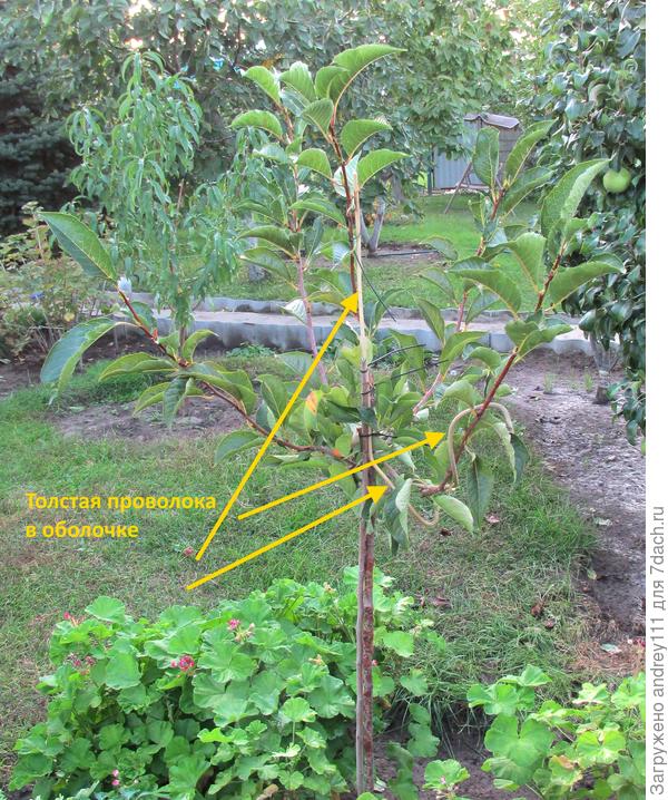 Не можешь - научим,  не хочешь -  заставим!