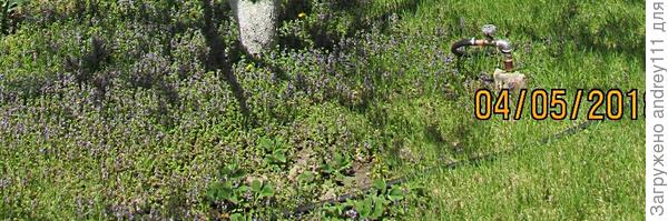 Скромно, но весело.