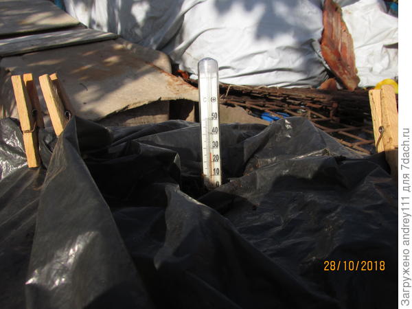 Температура пациента днем