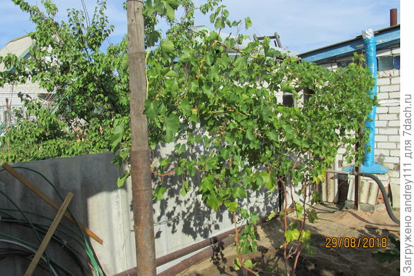 Как взрослый уже!