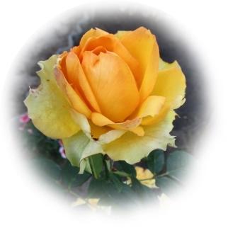 Счастья вам!