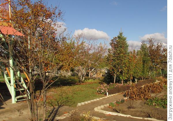 Опадает, отцветает эта осень.