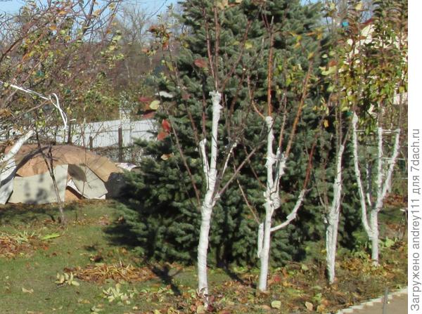 Зомби атакуют!