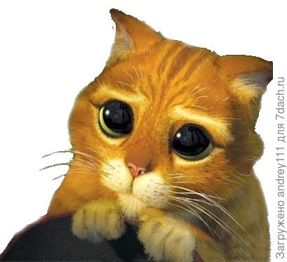 Ну пожалуйста!