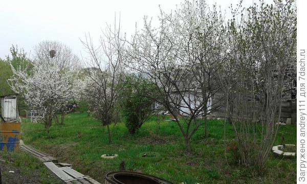 Анна, посмотрите, может быть и вам больше понравится такой декор этих клумбочек: