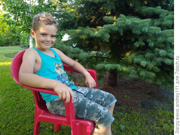 Этот уже нашел свою прохладительную елку.