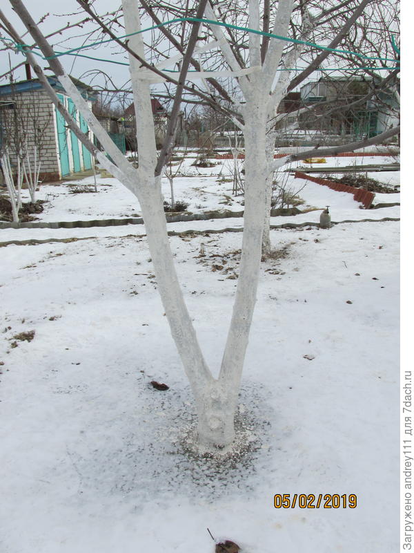 Двустволка...  Стволы стянуты между собой белой пластиковой лентой.