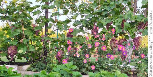 Очень гармонично!