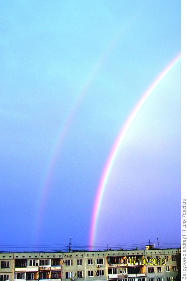 Прощальный привет волгоградского лета. Целых 20 минут провисела перед закатом.