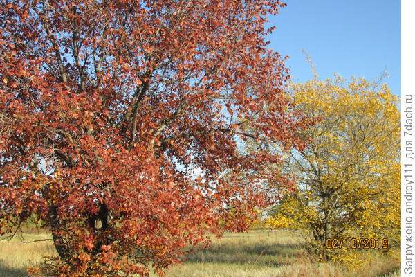 Еще вчера вот такая была радость.