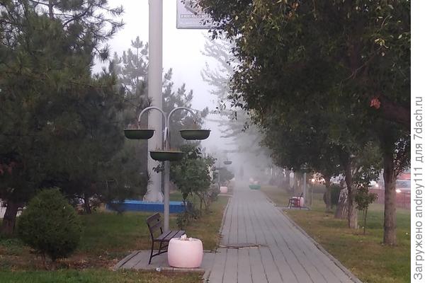 А сегодня погода нелетная...