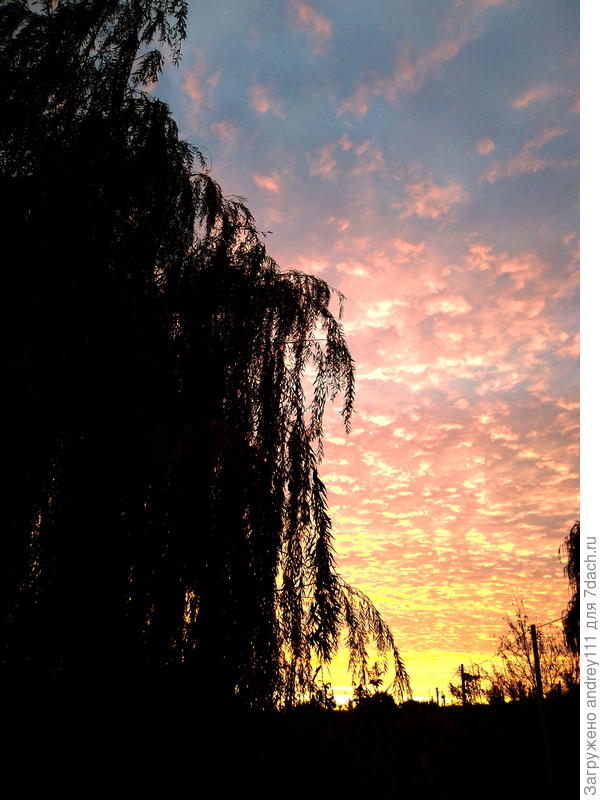 Октябрь, 7.30. Деревня уже давно на ногах