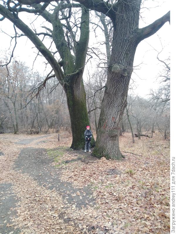 С внуком для масштаба. Его рост 1,2 м.