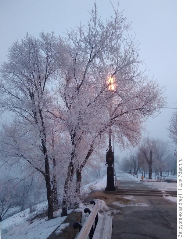 Утро туманное...