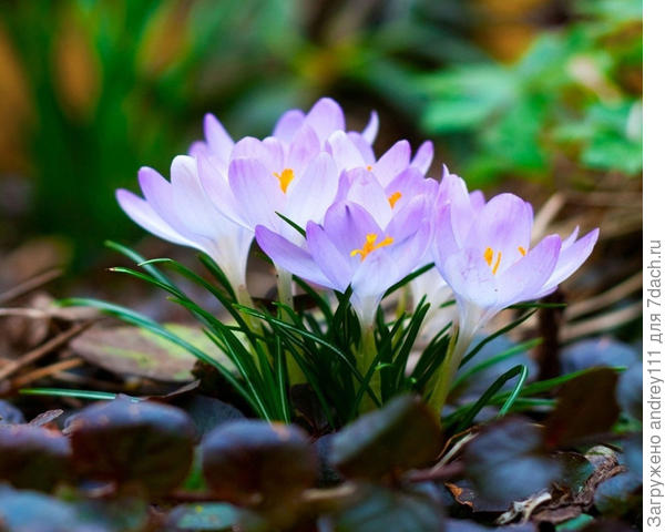 Ура, мы снова с вами!