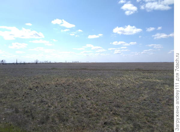 Вы видите цветы? А они есть!