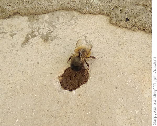 Последний мазок отделки фасада и можно сдавать объект.