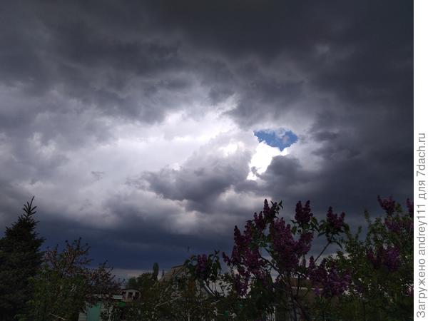 Большой Брат следит за тобой!