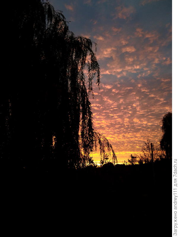 (Игорь Северянин)