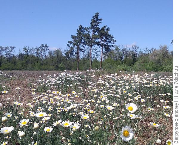 Середина мая... Почти лето!