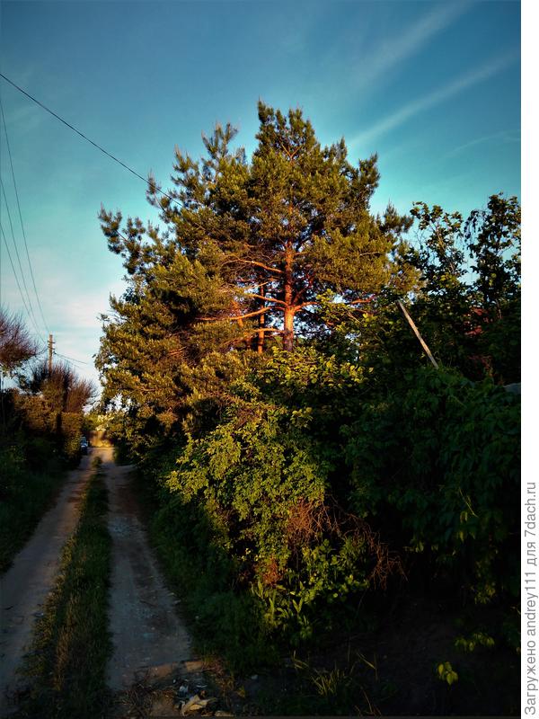 Вечереет, едем домой.