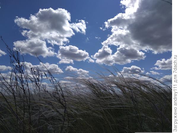 Лежу и на небо гляжу. А в небе облака летят... На меня и не глядят!