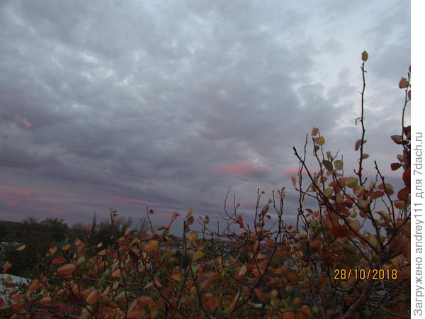 (А.С. Пушкин)